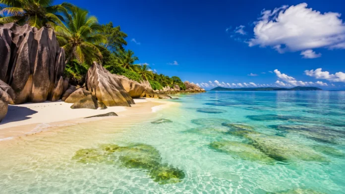 Madagascar Travel Guide Where to Go & What to Know